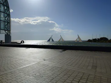 葛西臨海水族園に投稿された画像（2026/1/11）