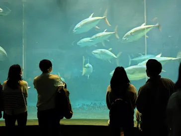 葛西臨海水族園に投稿された画像（2026/1/11）