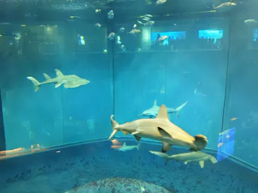 葛西臨海水族園に投稿された画像（2026/1/11）