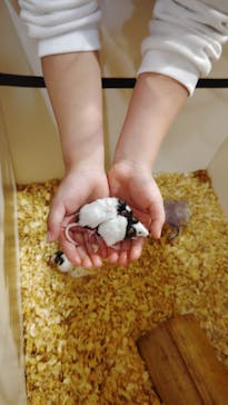 伊豆シャボテン動物公園に投稿された画像（2026/1/11）