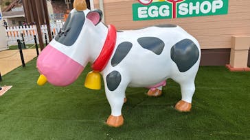 浜名湖パルパルに投稿された画像（2026/1/11）