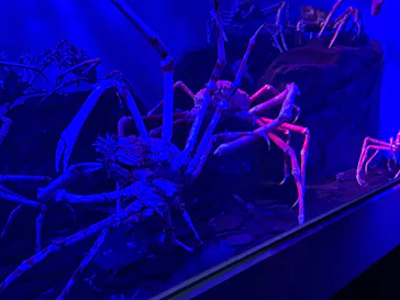 仙台うみの杜水族館に投稿された画像（2026/1/11）
