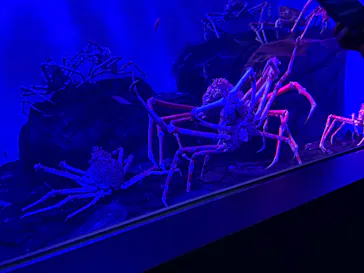 仙台うみの杜水族館に投稿された画像（2026/1/11）