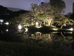 夜間特別開園 秋の夜長の小石川後楽園2025に投稿された画像（2026/1/11）
