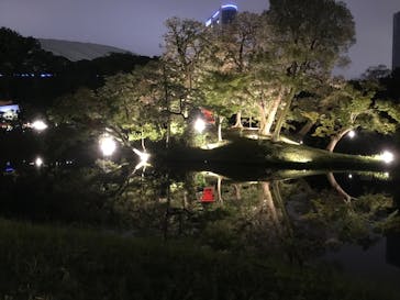 夜間特別開園 秋の夜長の小石川後楽園2025に投稿された画像（2026/1/11）