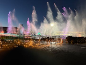 東京メガイルミに投稿された画像（2026/1/11）