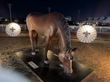 東京メガイルミに投稿された画像（2026/1/11）