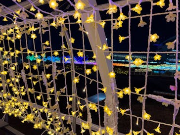 東京メガイルミに投稿された画像（2026/1/11）