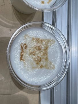 Cat Café MOFF グランベリーパーク店に投稿された画像（2026/1/11）