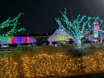 東京メガイルミに投稿された画像（2026/1/11）