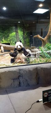 恩賜上野動物園に投稿された画像（2026/1/11）