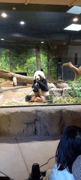 恩賜上野動物園に投稿された画像（2026/1/11）