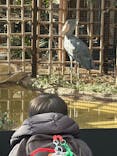 恩賜上野動物園に投稿された画像（2026/1/11）