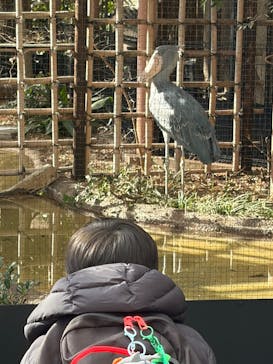 恩賜上野動物園に投稿された画像（2026/1/11）
