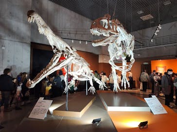 特別展「大絶滅展―生命史のビッグファイブ」に投稿された画像（2026/1/11）