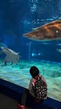 アクアワールド茨城県大洗水族館に投稿された画像（2026/1/11）