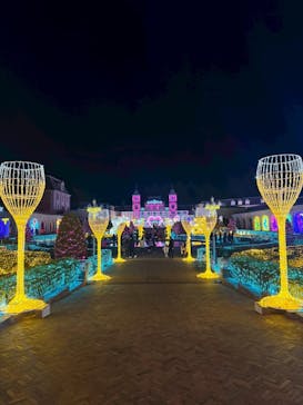 神戸イルミナージュに投稿された画像（2026/1/11）