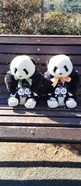 恩賜上野動物園に投稿された画像（2026/1/11）