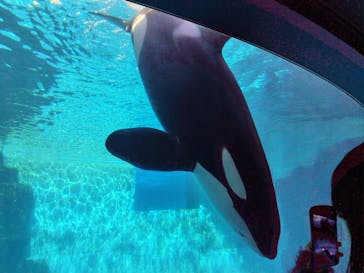 名古屋港水族館に投稿された画像（2026/1/11）
