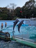 しながわ水族館に投稿された画像（2026/1/11）