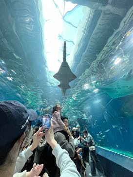 マクセル アクアパーク品川に投稿された画像（2026/1/11）