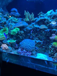 マクセル アクアパーク品川に投稿された画像（2026/1/11）