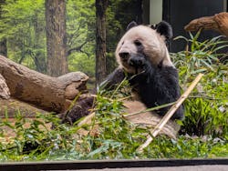 恩賜上野動物園に投稿された画像（2026/1/11）