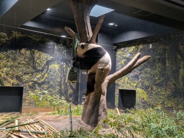 恩賜上野動物園に投稿された画像（2026/1/11）