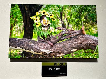 ヨシダナギ写真展　HEROES-RELOADED-に投稿された画像（2026/1/11）