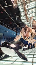 名古屋港水族館に投稿された画像（2026/1/11）