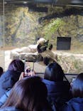 恩賜上野動物園に投稿された画像（2026/1/12）