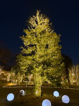 いばらきフラワーパークに投稿された画像（2026/1/11）