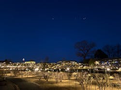 いばらきフラワーパークに投稿された画像（2026/1/11）