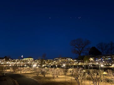 いばらきフラワーパークに投稿された画像（2026/1/11）