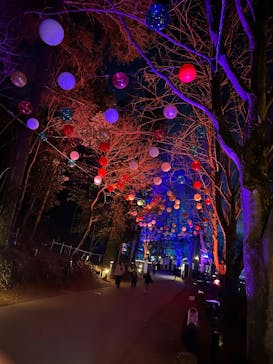 ムーミンバレーパークに投稿された画像（2026/1/11）