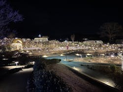 いばらきフラワーパークに投稿された画像（2026/1/11）