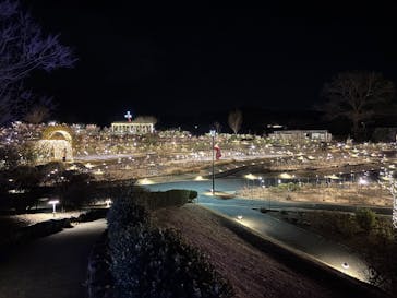 いばらきフラワーパークに投稿された画像（2026/1/11）