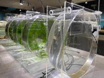 AOAO SAPPOROに投稿された画像（2026/1/11）