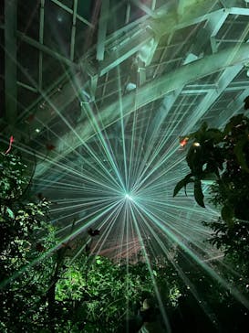 京都府立植物園　LIGHT CYCLES KYOTOに投稿された画像（2026/1/11）