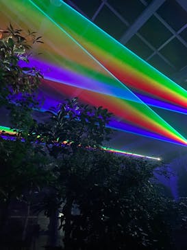 京都府立植物園　LIGHT CYCLES KYOTOに投稿された画像（2026/1/11）