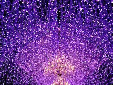 江の島シーキャンドル×新江ノ島水族館に投稿された画像（2026/1/11）