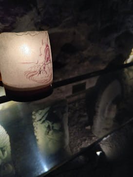 江の島シーキャンドル×新江ノ島水族館に投稿された画像（2026/1/11）