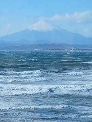江の島シーキャンドル×新江ノ島水族館に投稿された画像（2026/1/11）