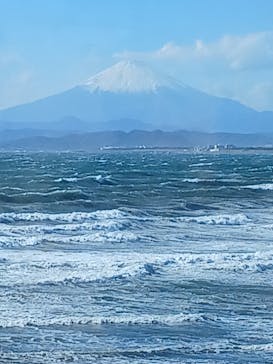 江の島シーキャンドル×新江ノ島水族館に投稿された画像（2026/1/11）