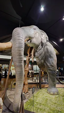 滋賀県立琵琶湖博物館に投稿された画像（2026/1/12）