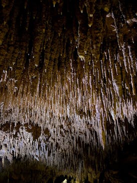 おきなわワールドに投稿された画像（2026/1/12）