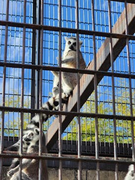 宇都宮動物園に投稿された画像（2026/1/12）