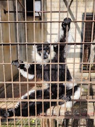 宇都宮動物園に投稿された画像（2026/1/12）