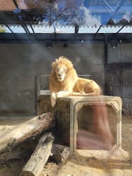 宇都宮動物園に投稿された画像（2026/1/12）