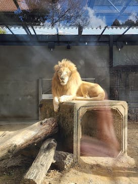 宇都宮動物園に投稿された画像（2026/1/12）